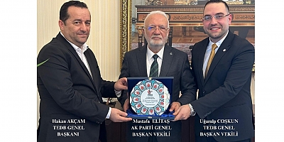 Tüm Emlak Danışmanları Birliği Genel Başkanı Hakan Akçam’dan Adalet ve Kalkınma Partisi Genel Başkan Vekili Mustafa Elitaş’a Anlamlı Ziyaret